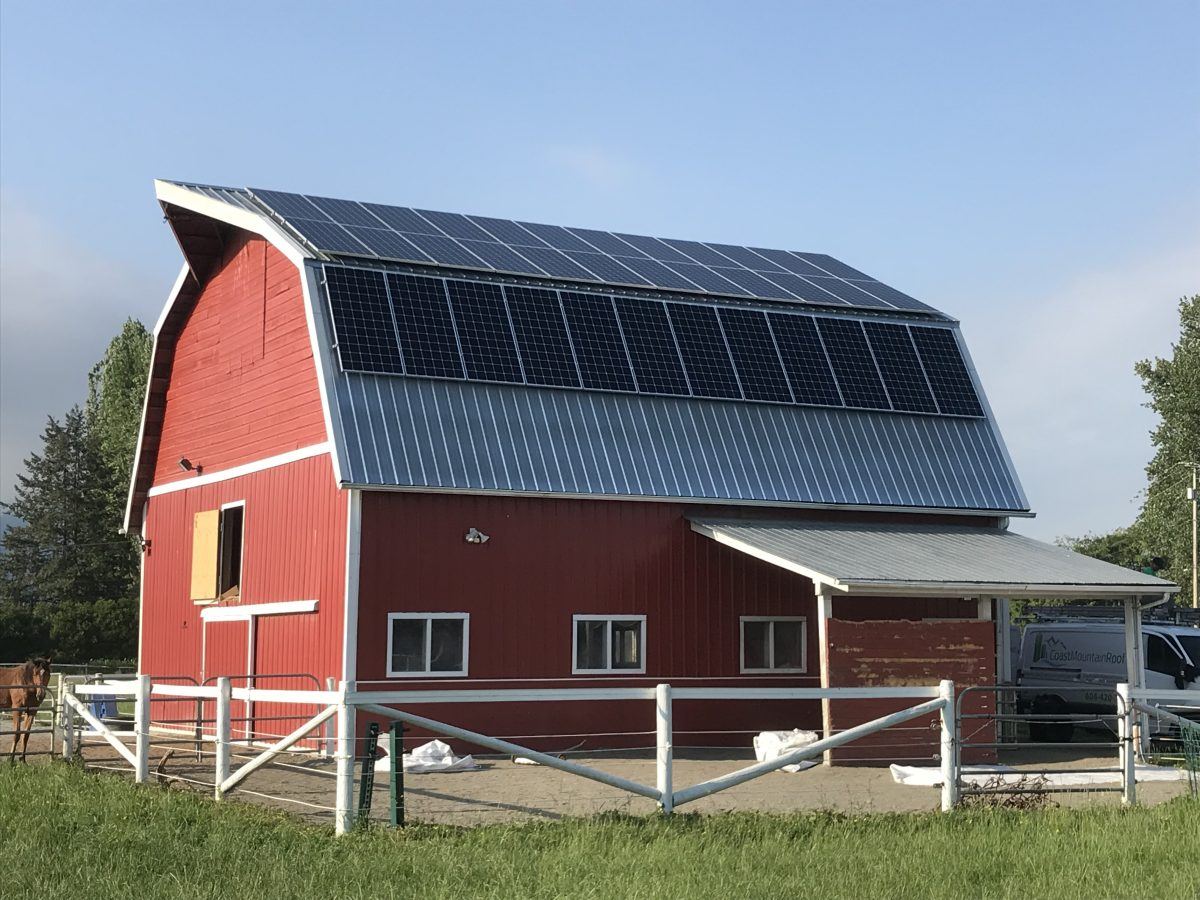 solar panels farm